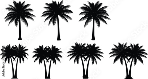 Tropical palm tree silhouettes collection with single and grouped coconut palms isolated for summer beach landscape design