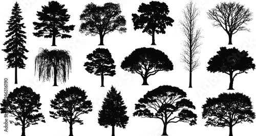 Collection of various tree silhouettes including pine oak willow and deciduous trees isolated on white background botanical illustration set