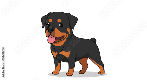 Rottweiler puppy vector illustration, vector style graphic, adorable pet, domestic animal.