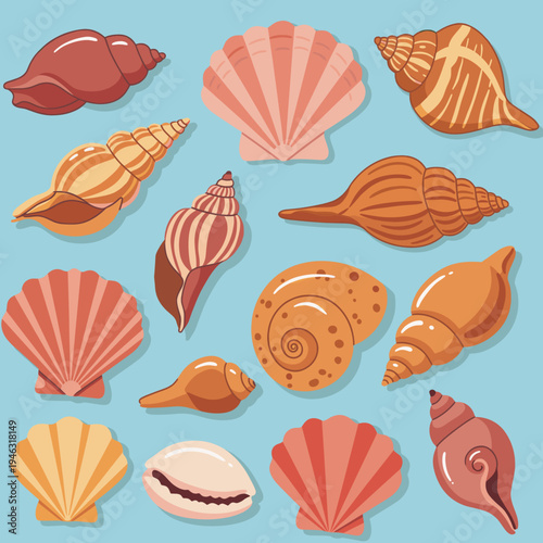 Colorful collection of various seashells arranged on a light blue background