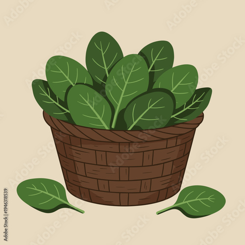 Lush green spinach leaves in a woven basket against a neutral background