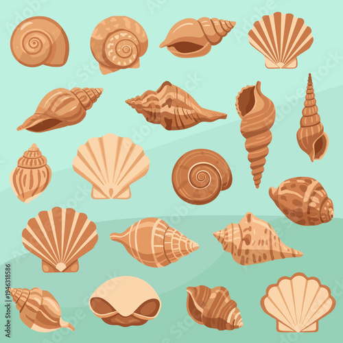 A vibrant collection of various seashells displayed on a soft turquoise background