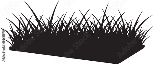 Silhouette of a clump of grass on a flat surface