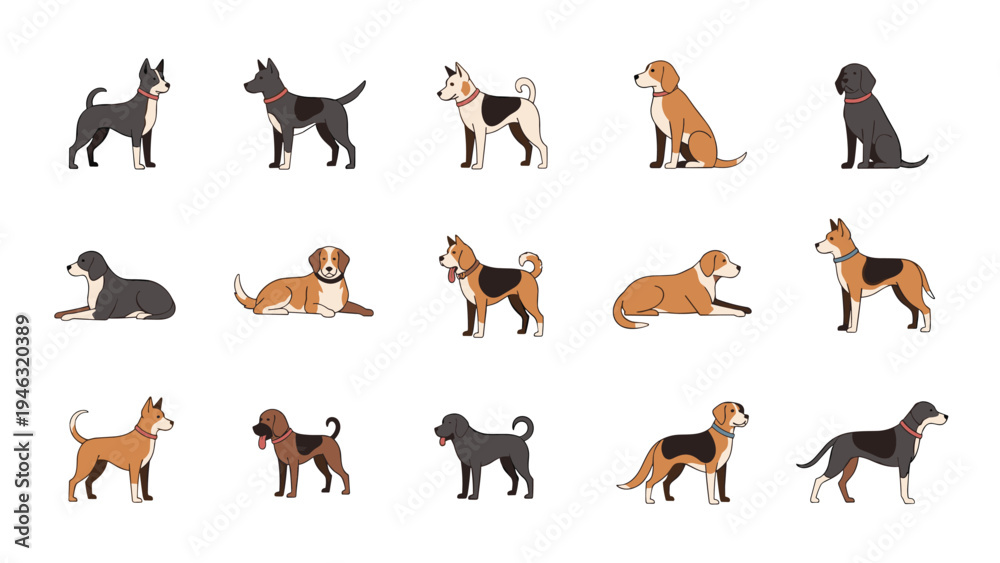 Fototapeta premium Large collection of fifteen diverse dog illustrations in various breeds and positions including sitting standing and lying down.