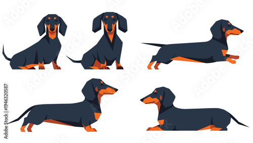 Collection of dachshund dog illustrations in various poses such as sitting, lying down, and running, shown in a simple geometric vector style.