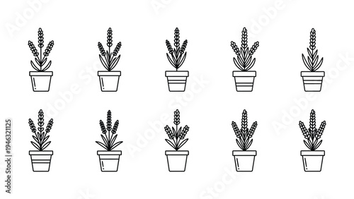 Collection of ten minimalist black and white vector icons depicting potted lavender plants in various styles