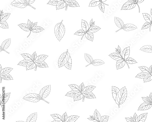 Mint leaves seamless pattern. Herbal mint foliage background. Fresh mint botanical repeat pattern. Aromatic herb leaves texture. Green culinary ingredient pattern. Natural herbal foliage wallpaper.