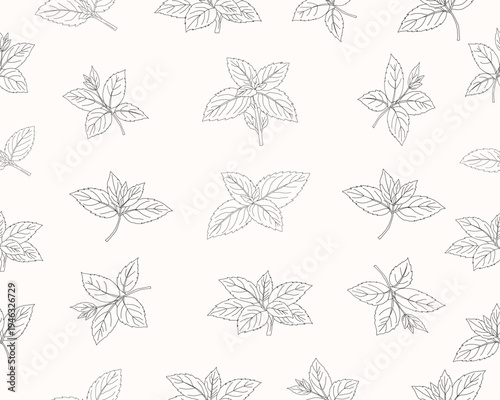 Mint leaves seamless pattern. Herbal mint foliage background. Fresh mint botanical repeat pattern. Aromatic herb leaves texture. Green culinary ingredient pattern. Natural herbal foliage wallpaper.