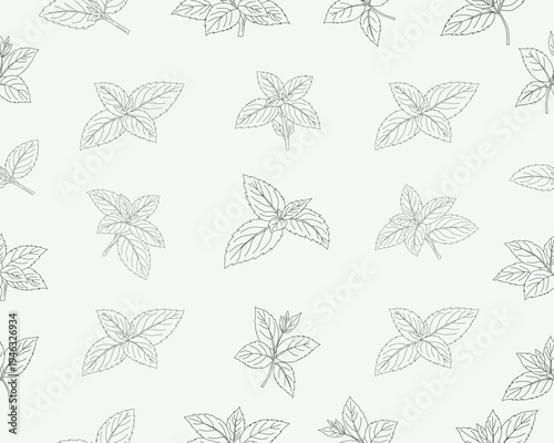 Mint leaves seamless pattern. Herbal mint foliage background. Fresh mint botanical repeat pattern. Aromatic herb leaves texture. Green culinary ingredient pattern. Natural herbal foliage wallpaper.