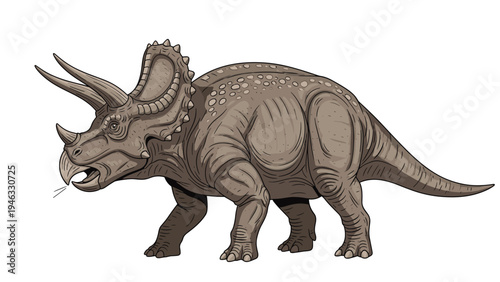 Massive triceratops dinosaur walks across a white background with realistic details and three sharp horns on its head.