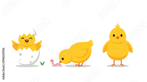 Sequence of three cute yellow chicks shows one hatching from an egg, one eating a worm, and one standing proudly.