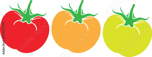 Colorful tomato illustration set, red yellow green fresh vegetables icons, healthy organic food concept, flat minimal vector design collection