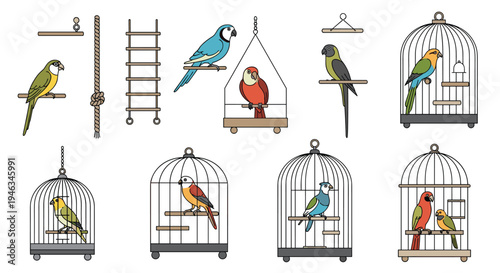 Various colorful parrot species are shown in different cage styles and perching positions for pet care illustration.