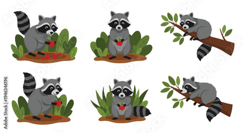 Raccoons are depicted in several scenes including eating red berries on the ground and climbing on tree branches.