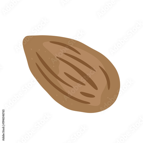 almond fresh fruit vector illustration healthy food 