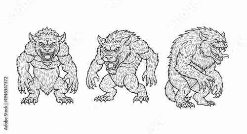 Three Stages of a Werewolf Transformation