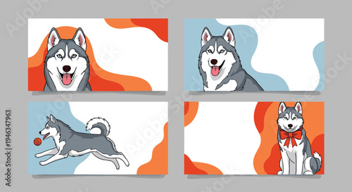 Set of four illustrations featuring a beautiful Siberian Husky dog in various poses and settings for pet care and animal lover designs.
