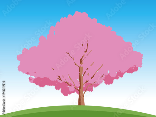 桜, 春, 木, 風景, 自然, 空, 草, ベクター, イラスト, 雲, サマータイム, とぶ, 公園, 森, 太陽, 