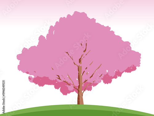 桜, 春, 木, 風景, 自然, 空, 草, ベクター, イラスト, 雲, サマータイム, とぶ, 公園, 森