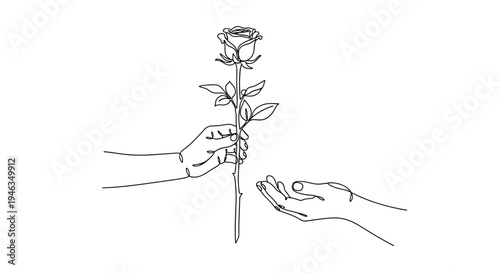 Hands holding a single rose flower.