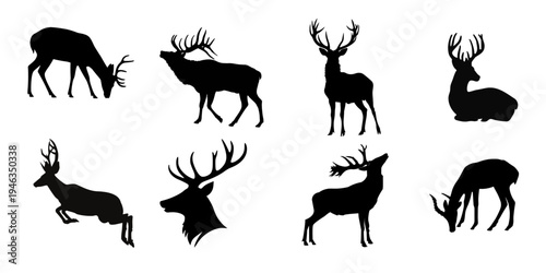 Set of deer and stag silhouettes with large antlers in standing, grazing and resting poses for nature and hunting graphics.
