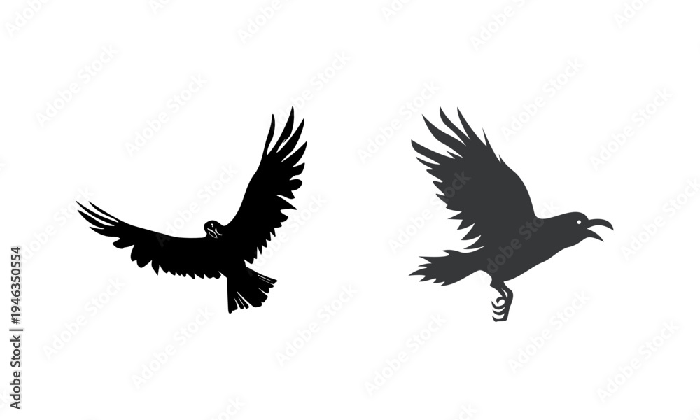 Obraz premium Flying bird silhouette with scattered feathers for wildlife, freedom and dramatic sky concepts.