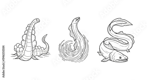 Line Art Illustrations Of Ancient Sea Creatures