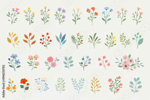 "Botanical Illustration Colorful Collection"