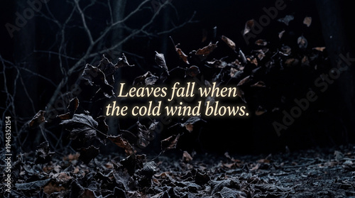 Dark brittle leaves blowing away into the shadows with a poetic typography quote about fair-weather friends and temporary relationships.