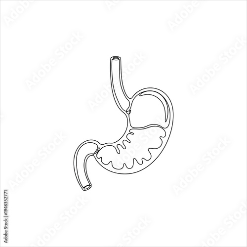 A line drawing of a human stomach and intestines