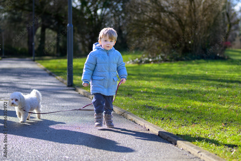 Fototapeta premium Toddler walking dog sunny park