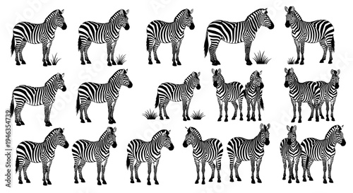 Collection of Zebra Illustrations: Diverse Poses and Styles