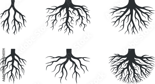 Tree root vector silhouette set featuring various organic underground branching systems, isolated on plain white background