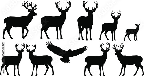Collection of animal silhouettes featuring deer with antlers, fawns, and a flying bird, symbolizing wildlife diversity, forest habitat,