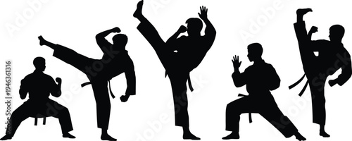 Martial arts master silhouettes performing dynamic high kicks and combat stances for sport graphics