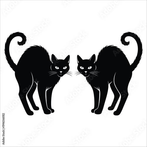 Two black cats facing each other in a symmetrical minimalist design