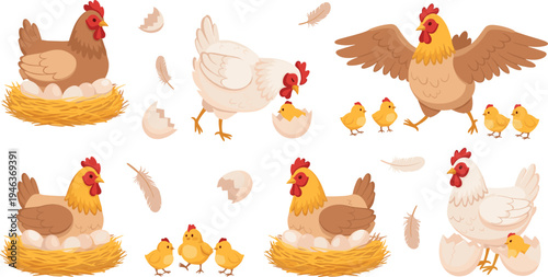 Vector set of cute cartoon hens nesting with eggs and hatching chicks including mother hen with spread wings and feathers isolated on white background.