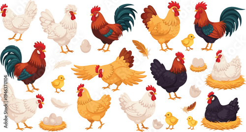 Vector set of diverse farm chickens including roosters, hens, and chicks in various poses, nesting with eggs, and feathers isolated on white background.