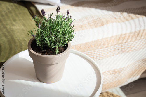 Lavender flowers on table i...