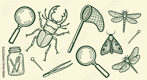 Entomology Kit with Insects and Tools for Scientific Study