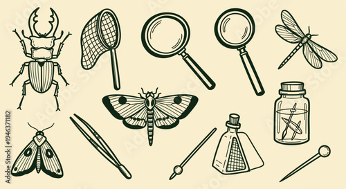 Vintage Entomology Illustration Collection With Insects And Tools For Study