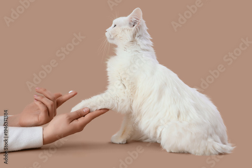 Female hands with cream hol...