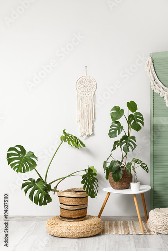 Folding screen, table and Monstera houseplants near white wall in room