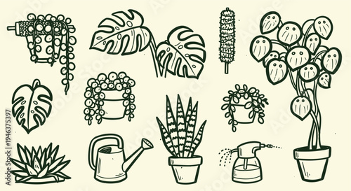 Collection of Hand Drawn Potted Houseplants and Gardening Tools on Beige Background