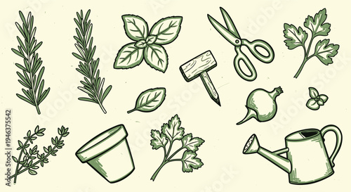 Gardening tools and herbs collection for planting and cooking