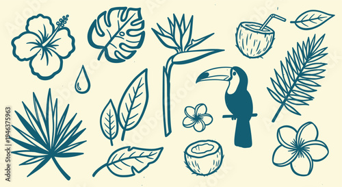 Tropical Paradise Elements Collection Toucan Flowers Leaves Coconut Drink