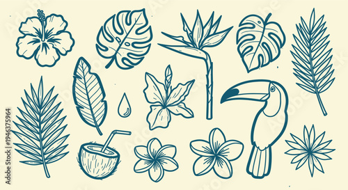 Tropical Elements Collection Hand Drawn Toucan Coconut Drink Hibiscus Flowers and Palm Leaves