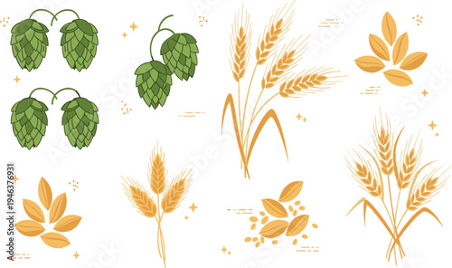 Beer brewing ingredients set with hops cones and barley wheat ears, botanical brewery elements collection for craft beer production design