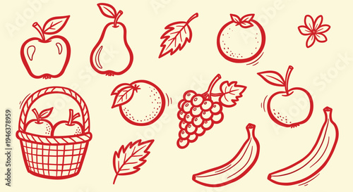 Hand Drawn Fruit Collection Basket Apples Pears Oranges Grapes Bananas Leaves Simple Sketch Style