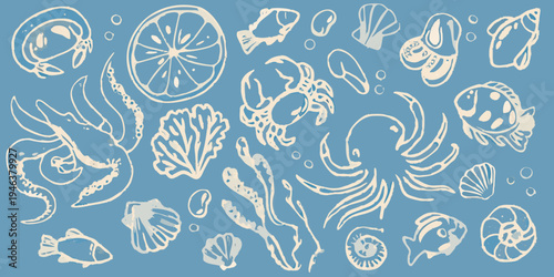 A collection of delicate hand drawn marine life and seashell illustrations